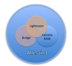 Structuur LR 1