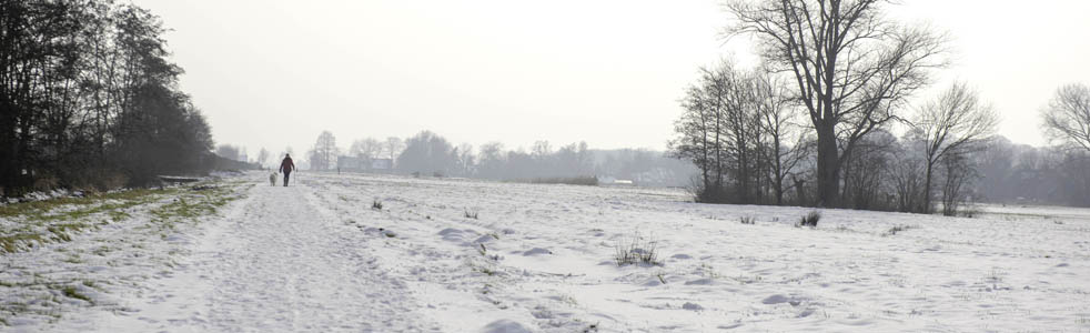 header_cursus_37